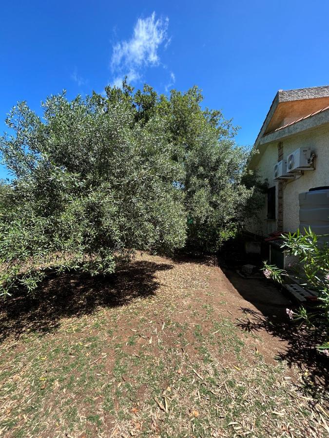 Villa Domo Austinu - Abbasanta Extérieur photo