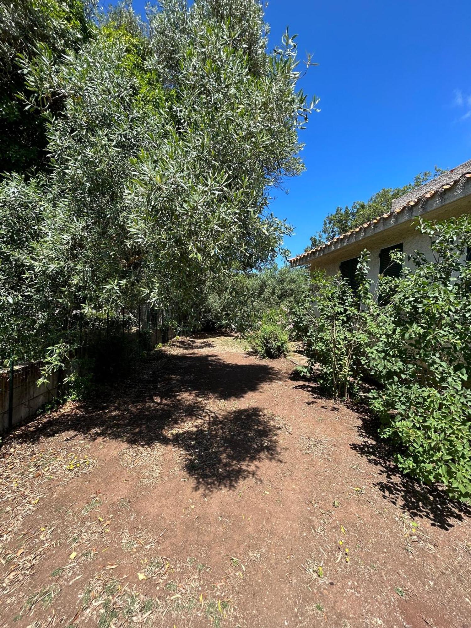 Villa Domo Austinu - Abbasanta Extérieur photo